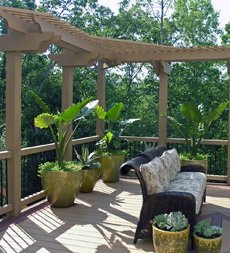 Decoración de terrazas y balcones con plantas (I