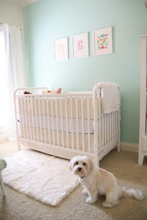 MUESTRA DECORACION HABITACION BEBE muestra decoracion habitacion bebe: