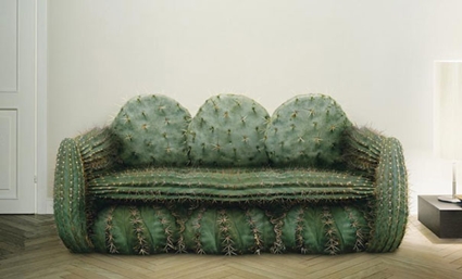 creative-sofa-cactus.jpg