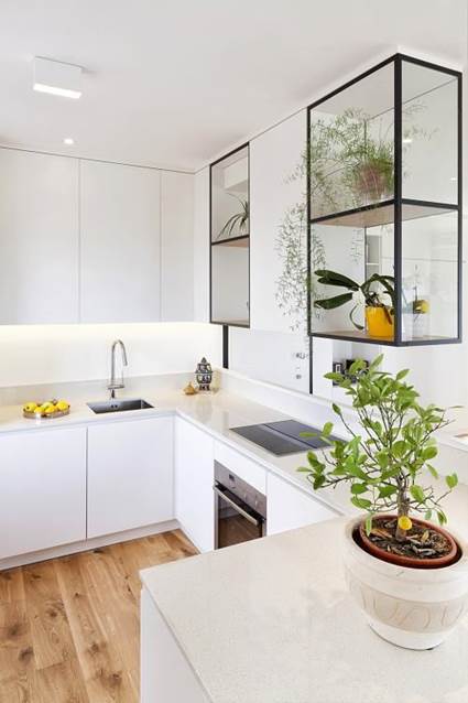 Tips para decorar la cocina con plantas - Decoración de Interiores y