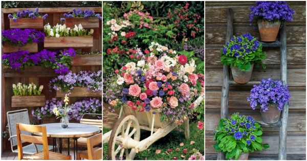 Diseño de jardines con flores. Jardinería. Decoración con flores.