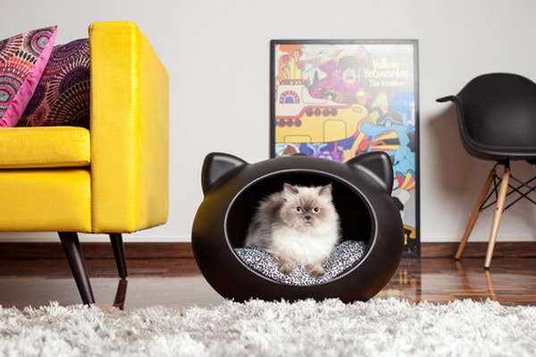 Camas de diseño para gatos