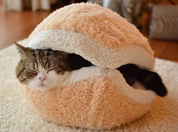 Camas para gatos