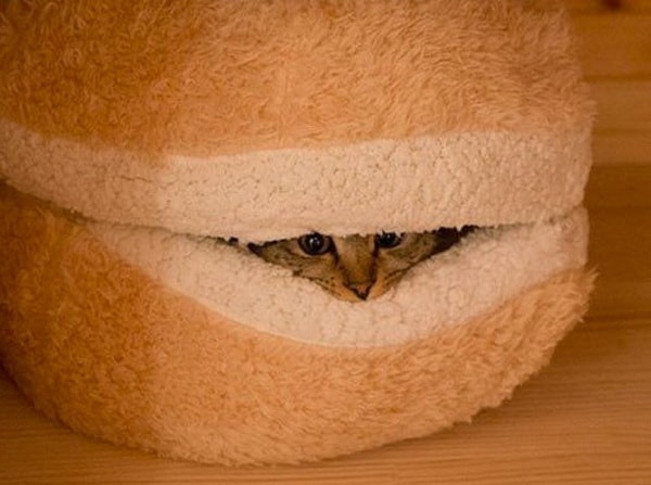 Cama para gato con forma de hamburguesa