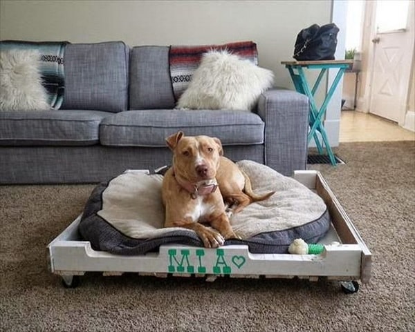 Camas para perros con palets de madera