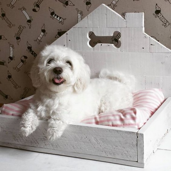 Camas para perros con palets