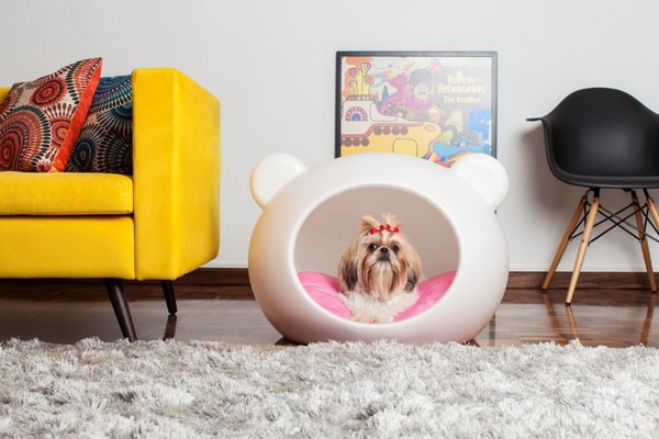 Camas de diseño para perros