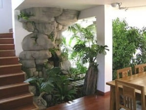 jardin-interior