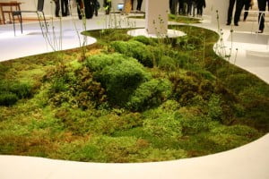 alfombra-natural21