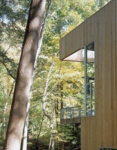 casa-eco6