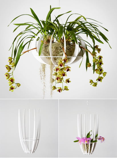 jardin