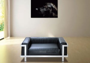 mueble-mascota