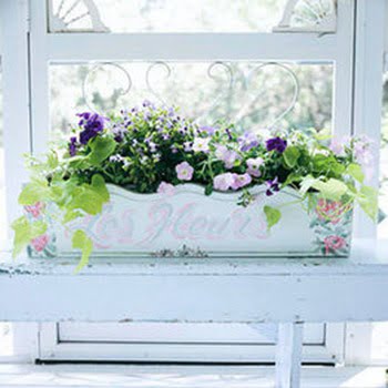 flores-ventana