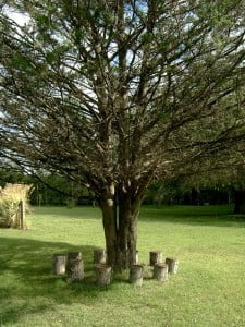 decoracion jardin4