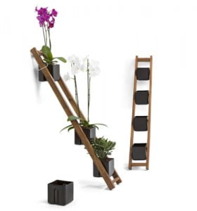 escalera plantas