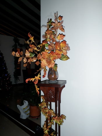casa de martha alicia