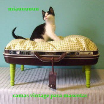 cama para gatos