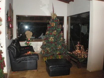 casa martha alicia14