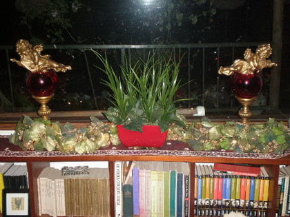 casa martha alicia3