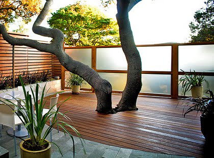 jardin_decoracion_diseño1