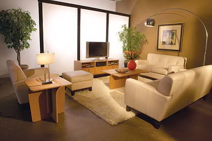 decorando_con_plantas