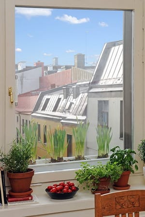 casa_de_familia9