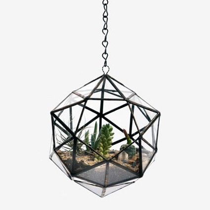 Decorar con plantas