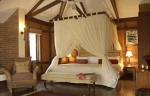 Decoración safari - Decoración de Interiores y Exteriores - EstiloyDeco