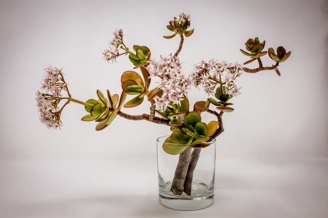 Arte floral japonés
