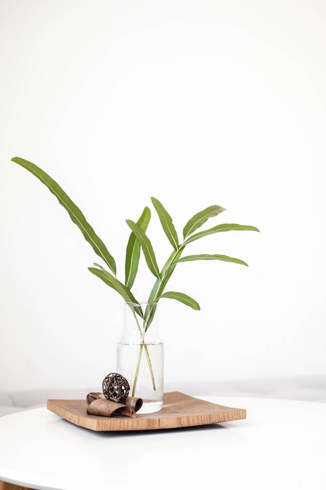 Arreglos Ikebana