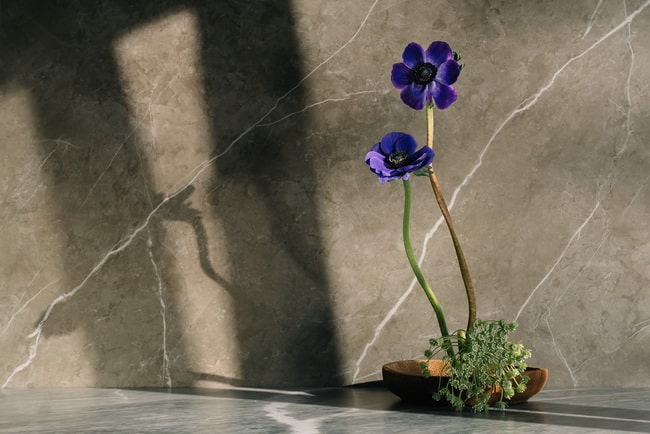 Arreglo Ikebana minimalista