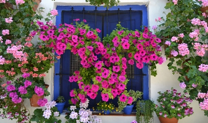 Decoración de balcones