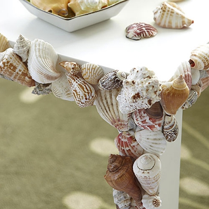 Mesa con conchas