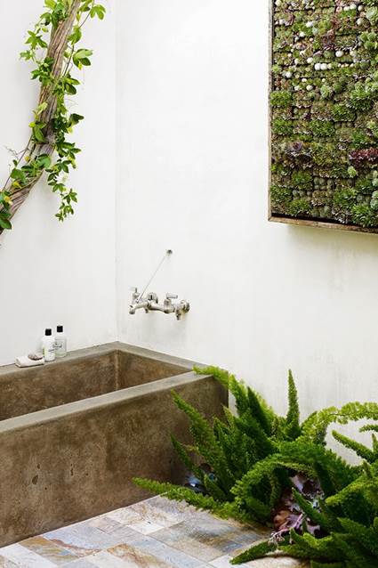 Plantas en baños