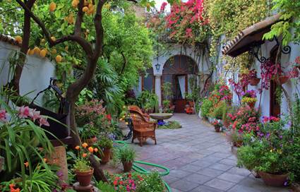 Patio con muchas plantas