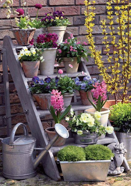 Ideas para jardines pequeños
