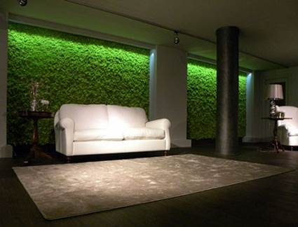 Pared verde