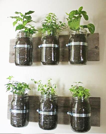 Hermosos jardines verticales