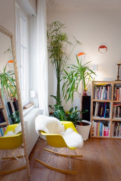 Interiores con plantas