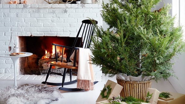 Árboles de Navidad en cestas