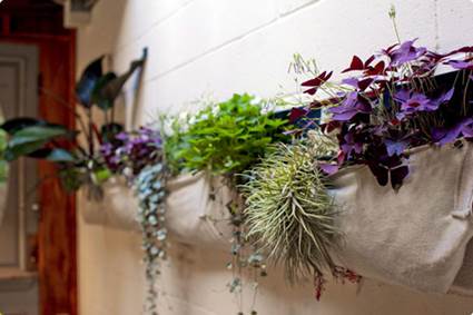 Ideas para decorar baños con plantas