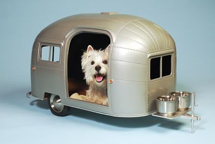 campers-mascotas-4