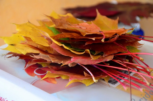 Manualidades con hojas secas
