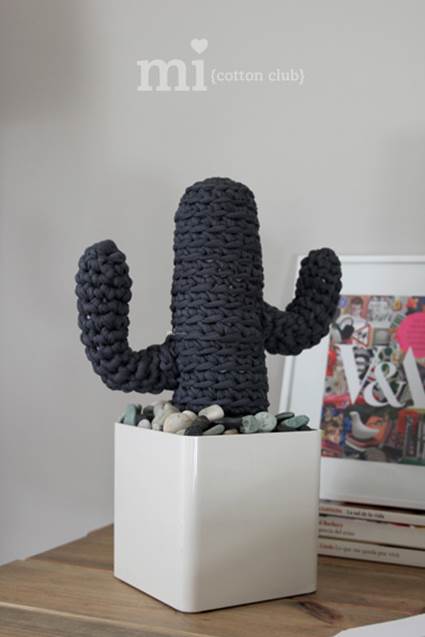 cactus-trapillo