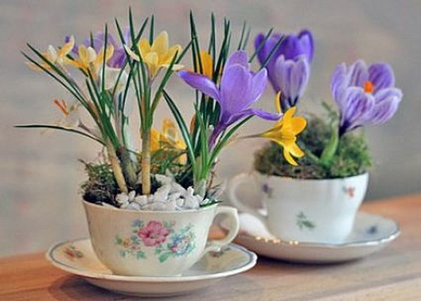 flores-en-tazas