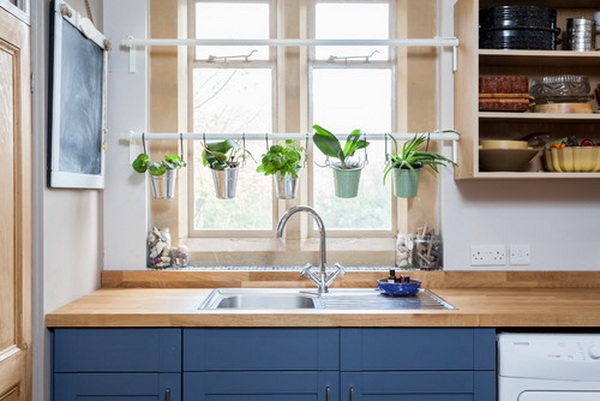 plantas-aromaticas-cocina