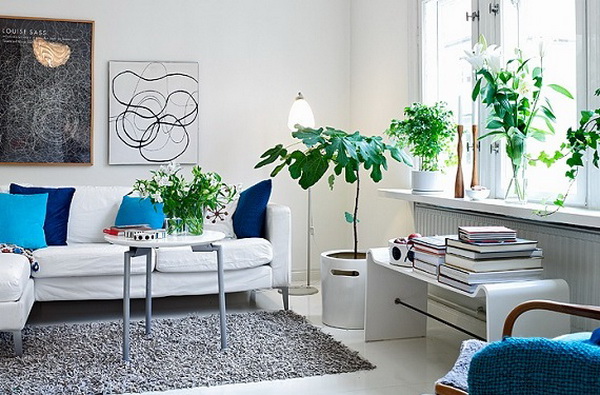 plantas-salon