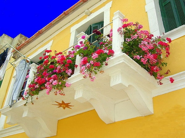 Balcón con flores