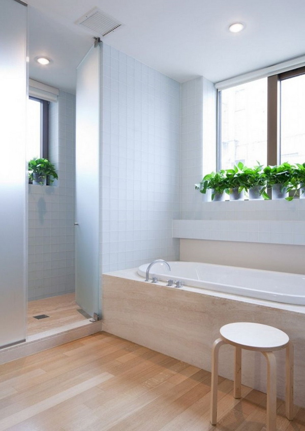 Plantas en el baño