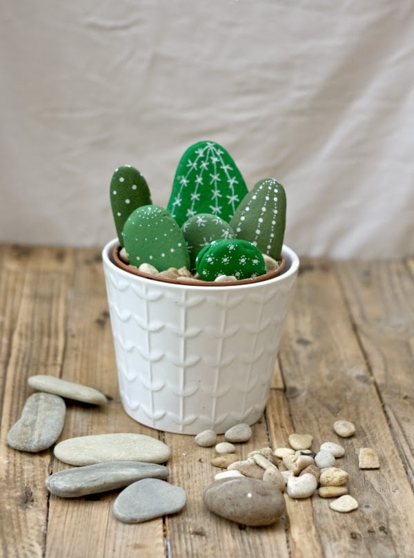 Cactus con piedras pintadas